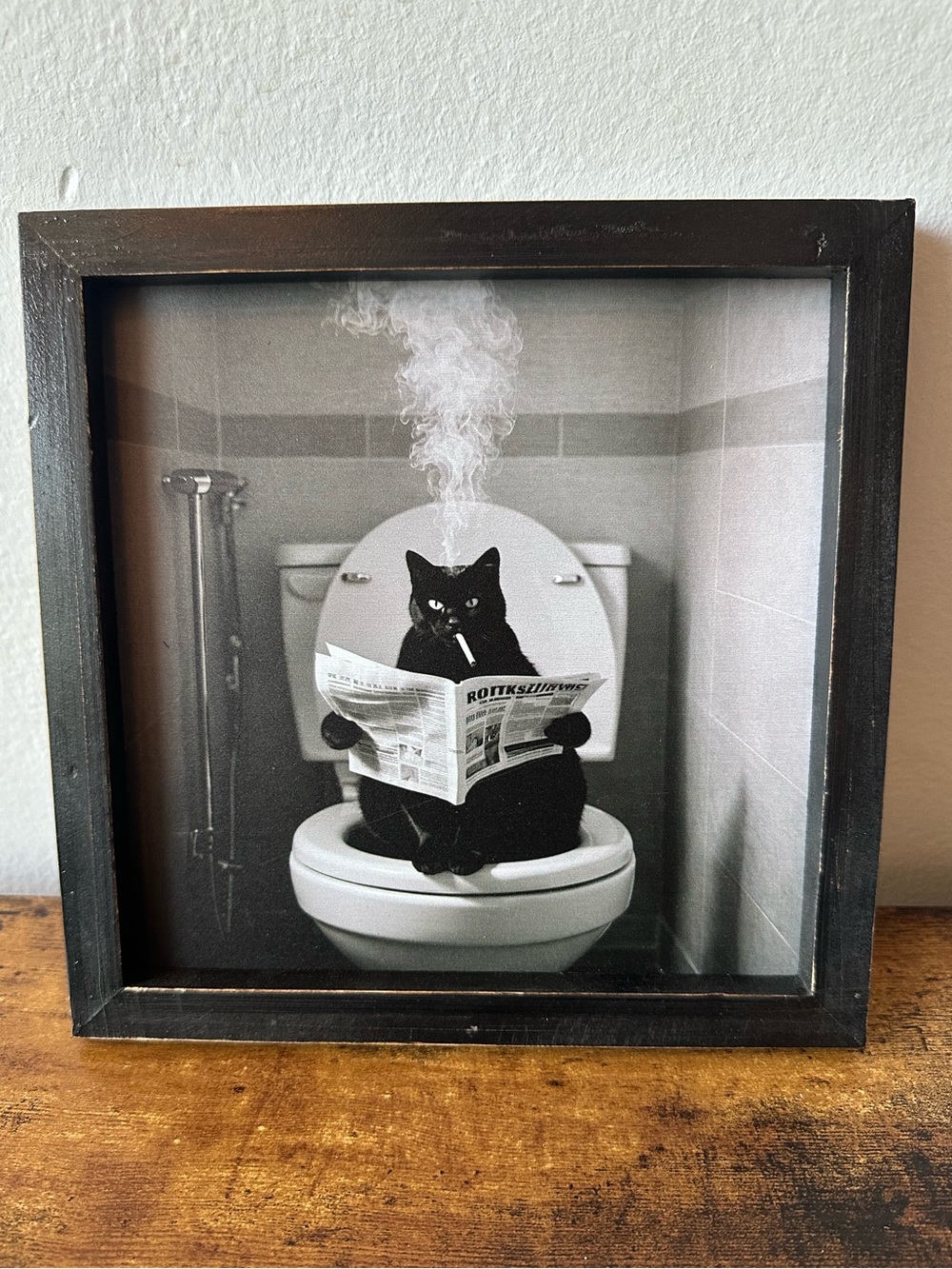 Framed Wooden Black Cat on Toilet Smoking Cigarette Reading Black & White NWT
